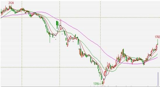 年度報告：宏觀與需求博弈連焦弱勢震蕩